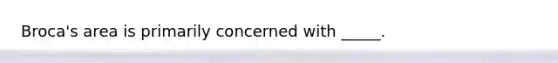 Broca's area is primarily concerned with _____.