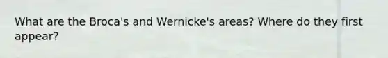 What are the Broca's and Wernicke's areas? Where do they first appear?