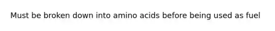 Must be broken down into amino acids before being used as fuel