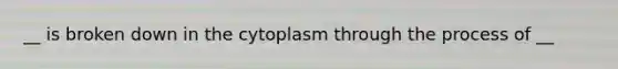 __ is broken down in the cytoplasm through the process of __