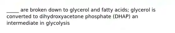 _____ are broken down to glycerol and fatty acids; glycerol is converted to dihydroxyacetone phosphate (DHAP) an intermediate in glycolysis