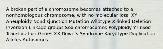 A broken part of a chromosome becomes attached to a nonhomologous chromosome, with no molecular loss. XY Aneuploidy Nondisjunction Mutation Wildtype X-linked Deletion Inversion Linkage groups Sex chromosomes Polyploidy Y-linked Translocation Genes XX Down's Syndrome Karyotype Duplication Alleles Autosomes