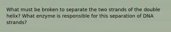 What must be broken to separate the two strands of the double helix? What enzyme is responsible for this separation of DNA strands?