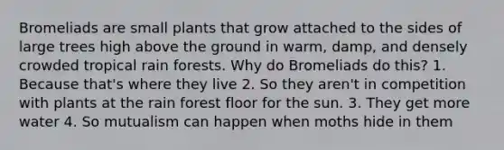 Bromeliads are small plants that grow attached to the sides of large trees high above the ground in warm, damp, and densely crowded tropical rain forests. Why do Bromeliads do this? 1. Because that's where they live 2. So they aren't in competition with plants at the rain forest floor for the sun. 3. They get more water 4. So mutualism can happen when moths hide in them