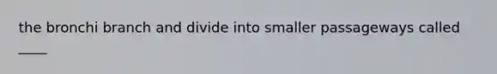 the bronchi branch and divide into smaller passageways called ____