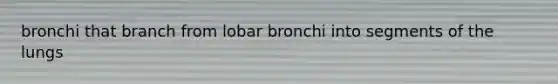 bronchi that branch from lobar bronchi into segments of the lungs