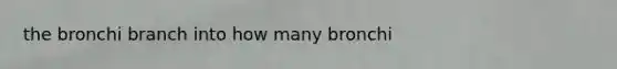 the bronchi branch into how many bronchi