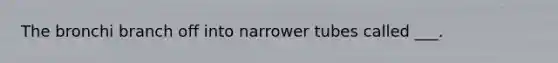 The bronchi branch off into narrower tubes called ___.