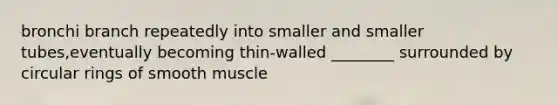 bronchi branch repeatedly into smaller and smaller tubes,eventually becoming thin-walled ________ surrounded by circular rings of smooth muscle