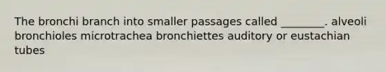 The bronchi branch into smaller passages called ________. alveoli bronchioles microtrachea bronchiettes auditory or eustachian tubes