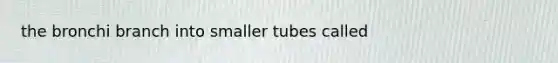 the bronchi branch into smaller tubes called