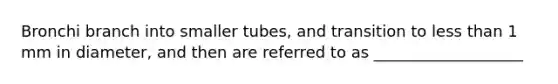 Bronchi branch into smaller tubes, and transition to less than 1 mm in diameter, and then are referred to as ___________________