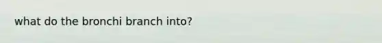 what do the bronchi branch into?