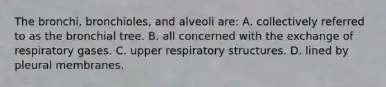 The bronchi, bronchioles, and alveoli are: A. collectively referred to as the bronchial tree. B. all concerned with the exchange of respiratory gases. C. upper respiratory structures. D. lined by pleural membranes.