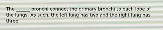 The ______ bronchi connect the primary bronchi to each lobe of the lungs. As such, the left lung has two and the right lung has three.