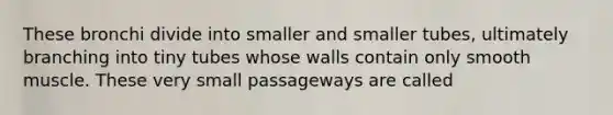 These bronchi divide into smaller and smaller tubes, ultimately branching into tiny tubes whose walls contain only smooth muscle. These very small passageways are called