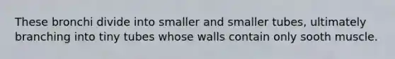 These bronchi divide into smaller and smaller tubes, ultimately branching into tiny tubes whose walls contain only sooth muscle.