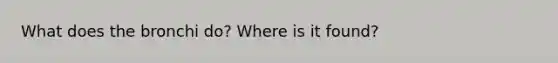 What does the bronchi do? Where is it found?