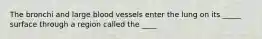 The bronchi and large blood vessels enter the lung on its _____ surface through a region called the ____