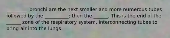 _________ bronchi are the next smaller and more numerous tubes followed by the __________; then the ______. This is the end of the ______ zone of the respiratory system, interconnecting tubes to bring air into the lungs