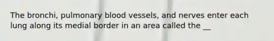 The bronchi, pulmonary blood vessels, and nerves enter each lung along its medial border in an area called the __