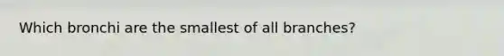 Which bronchi are the smallest of all branches?