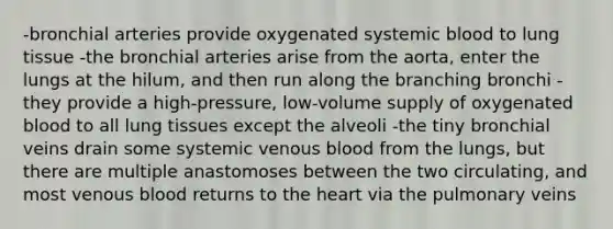 -bronchial arteries provide oxygenated systemic blood to lung tissue -the bronchial arteries arise from the aorta, enter the lungs at the hilum, and then run along the branching bronchi -they provide a high-pressure, low-volume supply of oxygenated blood to all lung tissues except the alveoli -the tiny bronchial veins drain some systemic venous blood from the lungs, but there are multiple anastomoses between the two circulating, and most venous blood returns to <a href='https://www.questionai.com/knowledge/kya8ocqc6o-the-heart' class='anchor-knowledge'>the heart</a> via the pulmonary veins