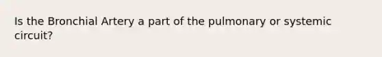 Is the Bronchial Artery a part of the pulmonary or systemic circuit?