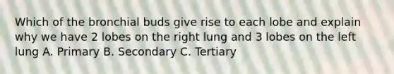 Which of the bronchial buds give rise to each lobe and explain why we have 2 lobes on the right lung and 3 lobes on the left lung A. Primary B. Secondary C. Tertiary