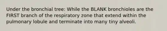 Under the bronchial tree: While the BLANK bronchioles are the FIRST branch of the respiratory zone that extend within the pulmonary lobule and terminate into many tiny alveoli.