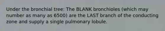 Under the bronchial tree: The BLANK bronchioles (which may number as many as 6500) are the LAST branch of the conducting zone and supply a single pulmonary lobule.