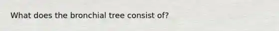 What does the bronchial tree consist of?