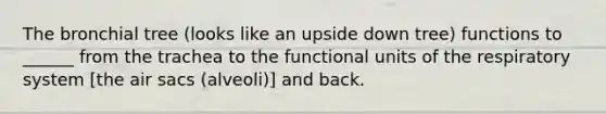 The bronchial tree (looks like an upside down tree) functions to ______ from the trachea to the functional units of the respiratory system [the air sacs (alveoli)] and back.