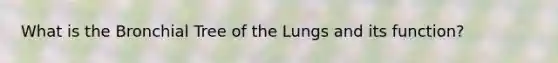 What is the Bronchial Tree of the Lungs and its function?