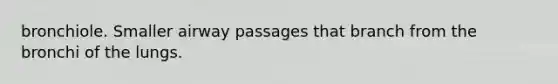 bronchiole. Smaller airway passages that branch from the bronchi of the lungs.
