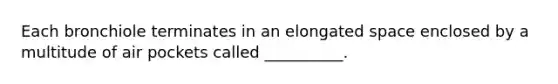 Each bronchiole terminates in an elongated space enclosed by a multitude of air pockets called __________.