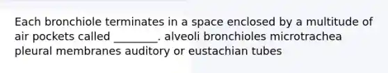 Each bronchiole terminates in a space enclosed by a multitude of air pockets called ________. alveoli bronchioles microtrachea pleural membranes auditory or eustachian tubes