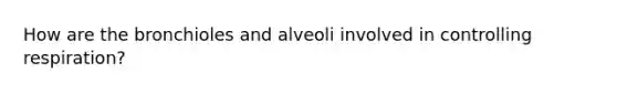 How are the bronchioles and alveoli involved in controlling respiration?