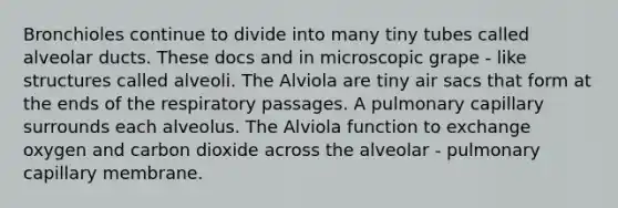 Bronchioles continue to divide into many tiny tubes called alveolar ducts. These docs and in microscopic grape - like structures called alveoli. The Alviola are tiny air sacs that form at the ends of the respiratory passages. A pulmonary capillary surrounds each alveolus. The Alviola function to exchange oxygen and carbon dioxide across the alveolar - pulmonary capillary membrane.