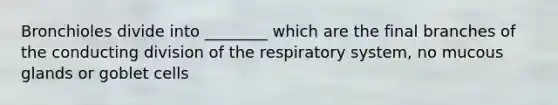 Bronchioles divide into ________ which are the final branches of the conducting division of the respiratory system, no mucous glands or goblet cells