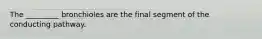 The _________ bronchioles are the final segment of the conducting pathway.