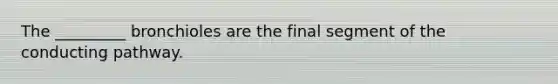 The _________ bronchioles are the final segment of the conducting pathway.