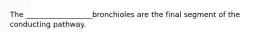 The __________________bronchioles are the final segment of the conducting pathway.