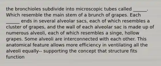 the bronchioles subdivide into microscopic tubes called ______. Which resemble the main stem of a brunch of grapes. Each ______ ends in several alveolar sacs, each of which resembles a cluster of grapes, and the wall of each alveolar sac is made up of numerous alveoli, each of which resembles a singe, hollow grapes. Some alveoli are interconnected with each other. This anatomical feature allows more efficiency in ventilating all the alveoli equally-- supporting the concept that structure fits function