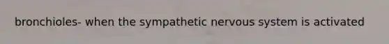 bronchioles- when the sympathetic nervous system is activated