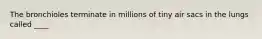 The bronchioles terminate in millions of tiny air sacs in the lungs called ____