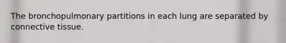 The bronchopulmonary partitions in each lung are separated by connective tissue.