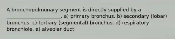 A bronchopulmonary segment is directly supplied by a ______________________. a) primary bronchus. b) secondary (lobar) bronchus. c) tertiary (segmental) bronchus. d) respiratory bronchiole. e) alveolar duct.