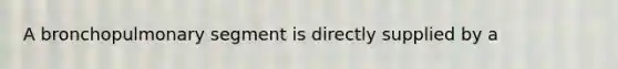 A bronchopulmonary segment is directly supplied by a