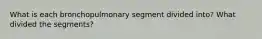 What is each bronchopulmonary segment divided into? What divided the segments?